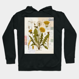 Dandelion Botanical on Antique Postcards Hoodie